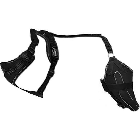 Collier pour genouillère de patte arrière pour chien asiatique souffrant d'arthrite, taille M (1/5)