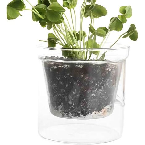Maceta transparente - Maceta de doble pared - Cuidado de plantas - Depósito de agua integrado - 13 x 13 x 13 cm - Transparente (1/5)