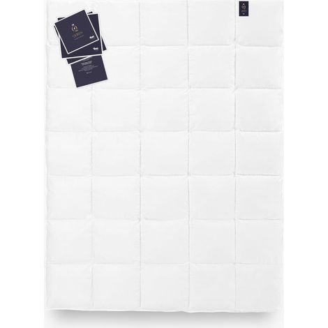 Couette DUVET D'OIE 100% 220x200 QUEEN 640g Exclusif (1/5)