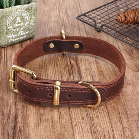 Collier Chien - Cuir De Vachette - Rembourré Peau De Mouton - Boucle Acier Inoxydable - Pour Chiens XXL - 58 À 73 Cm (1/5)