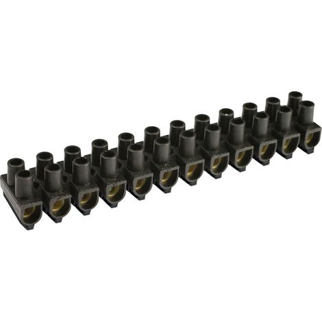 Barrettes NF auto-extinguible 25mm² - 12 plots - 63A