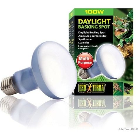 EXO Terra Tageslicht Beine Spot 100 W.