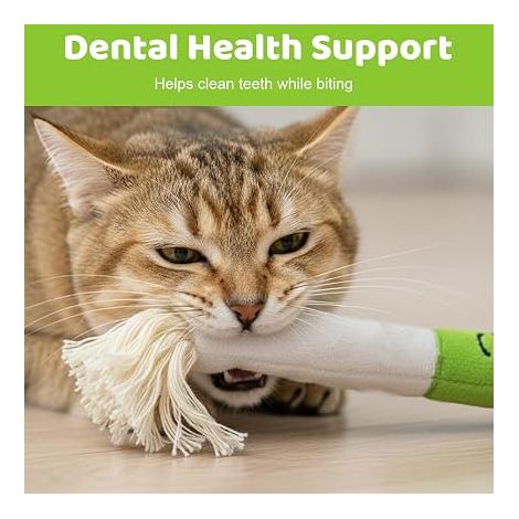 Cat Toys Matatabi Toy Cat Kitten Games Cat Toys for Cats Scratcher Cat Accessories Cat Apartment Interactive Toy for Cats (1/4)