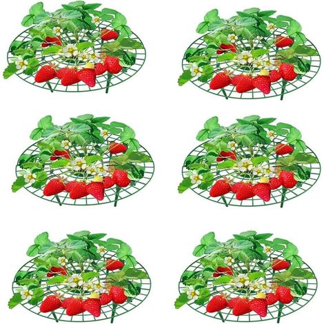 SHINING HOUSE6 Pièces Support pour Plantes de Fraises Supports de Plantation pour Fraises et Fruits pour Serre et Plantes en Pot pour Éviter la Pourriture du Sol, 309.5, vert (1/4)