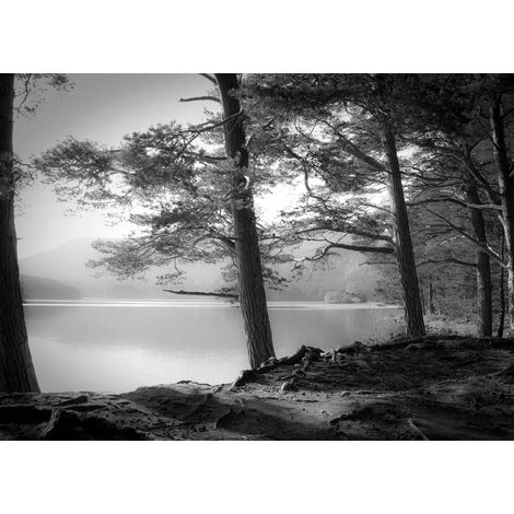 Tableau nature noir & blanc | Tableau couloir forêt & lac | Tableau sur toile paysage noir & blanc idéal déco salon & chambre - 0,7 x 0,5 m (1/2)