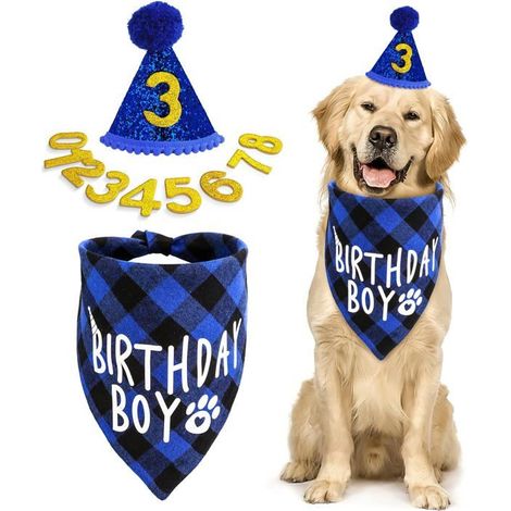 Lot de 10 accessoires pour fête d'anniversaire de chien garçon : bandana, chiens de petite, moyenne et grande taille. (1/5)