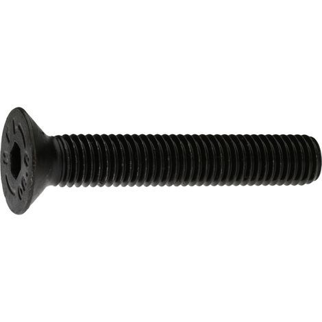 Reidl ISO 10642 Senkschraube mit Innensechskant, M 24 x 90, 8.8 blank (1/4)