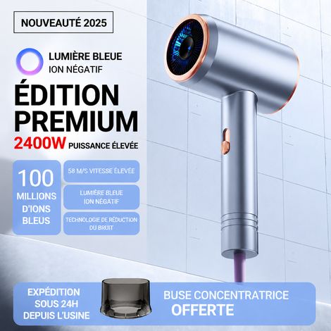 Sèche-cheveux professionnel 2400W argent métallique avec embout concentrateur réf 3909 800 g – Livraison gratuite