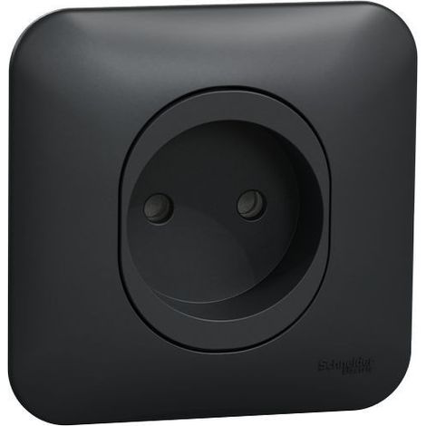 Ovalis - prise de courant - 2P - 16A-avec griffes Avec plaque -Anthracite (S465033)