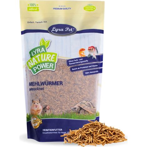 Lyra Pet – Vers de farine séchés 1 kg – 50,2 % de protéines – Aliment complémentaire pour oiseaux, reptiles et rongeurs – Sans additifs