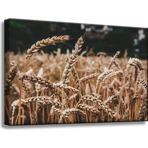 Leinwanddruck „Weizenfeld“ (60 x 40 cm) – Erntezeit