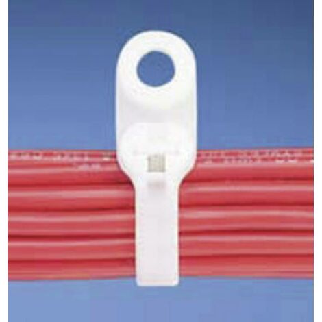 Panduit BC2S-S10-C BC2S-S10-C Serre-câble 216 mm 4.70 mm naturel avec oeillet de fixation, avec languette métallique 1 pc(s) Y941061 (1/5)