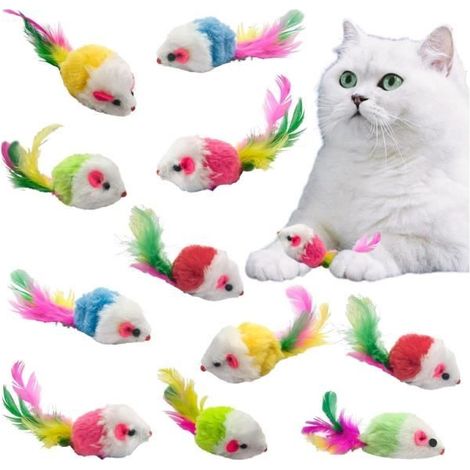 Jouets en peluche pour chat - Multicolore - Lot de 12 - 10 cm - Avec plumes - Bruissement attractif (1/4)