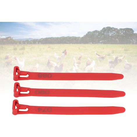 Anillas numeradas para palomas del 1 al 100, anillas de identificación para aves de corral, patos, gansos, rojas, 100 unidades, PP, reutilizables (1/5)