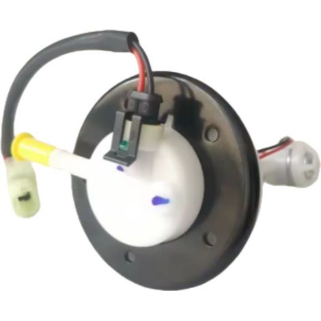 Motorcycle fuel pump assembly, compatible with BENELLI TNT125, BJ125-3E and RFS150i fuel pumps (1/4)
