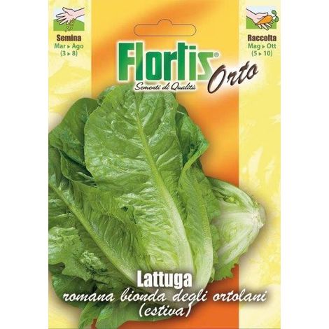 LATTUGA BIONDA ORTOLANI