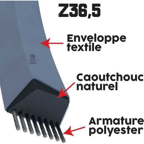 Courroie tondeuse Z36,5 Trapézoïdale - 10 mm x 965 mm (1/5)
