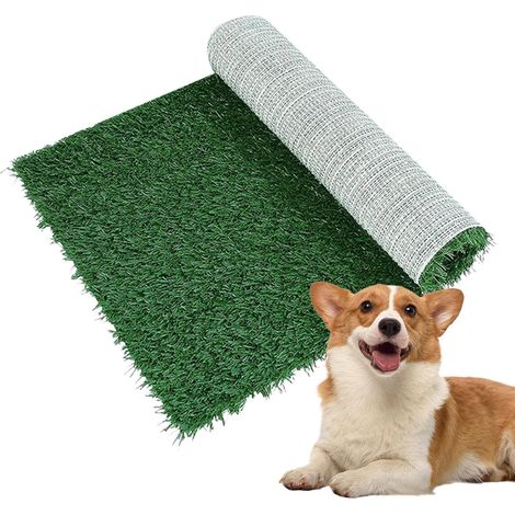d Pipi pour Chiens Chiots artificiels Aide l entra nement (1/5)