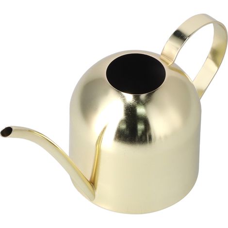 Arrosoir d'intérieur vintage en acier inoxydable 1000 ml pour plantes succulentes et fleurs grasses, couleur or. (1/5)