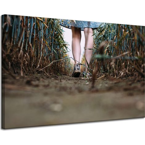 Leinwanddruck Natur Ein Spaziergang im Feld 120x80 cm