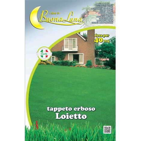 SEMI PRATO LOIETTO 1 KG