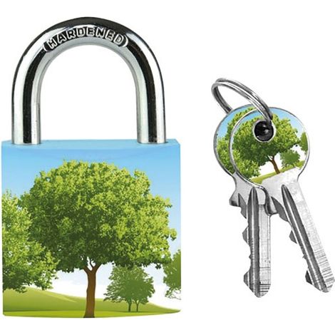 4 Catene in Metallo Massiccio da 30mm Motivi Abbinati - Master Lock