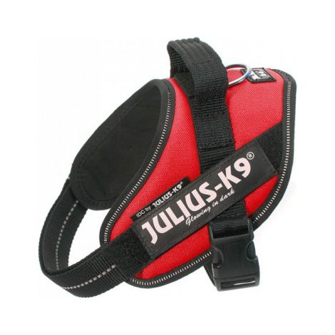 Julius Arns IDC 1 Red Dog (1/2)