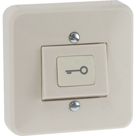 Bouton poussoir NO NF avec symbole clé EXS100K