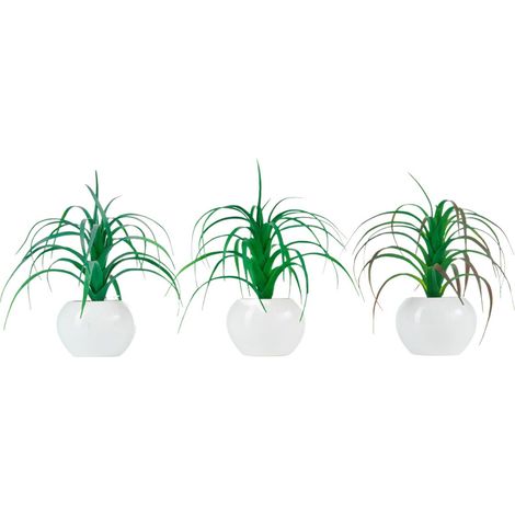 ARPIMEX Tillandsia in Vaso di Ceramica D 17 Cm 1 Pz
