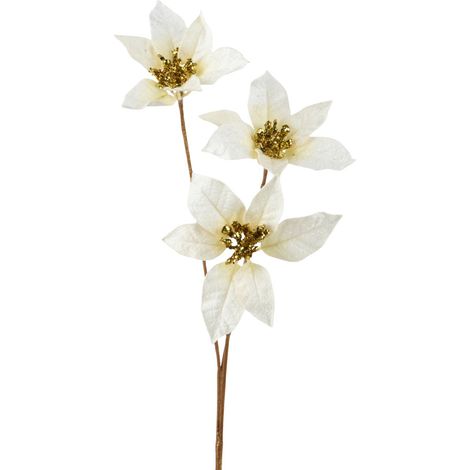 Everlands Weihnachtsdeko Poinsettia 17 x 10 x 60 cm creme