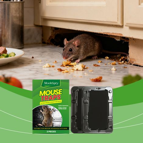 Klebefallen für Ratten zum Schutz Ihres Zuhauses, zur Rattenabwehr und -vermeidung schonende Formel, tragbar, vielseitig einsetzbar – 2 Stück -- DE (1/5)