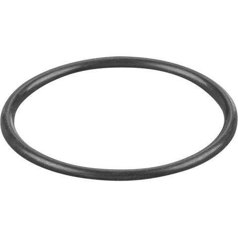 Rems O-Ring 060284