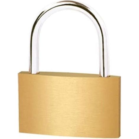 Candado universal de latón de 60 mm con 3 llaves, grillete largo/corto para taquillas, cobertizos de jardín y mochilas. (1/5)