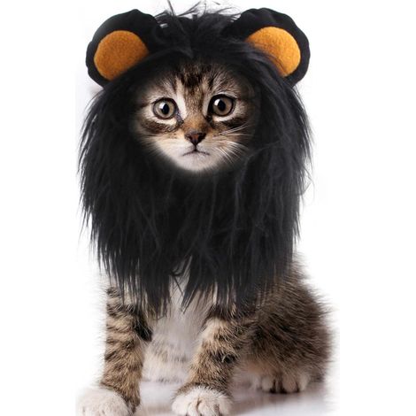 QAZQA Couvre-Chef de pour Animaux de Compagnie - Costume crinière de pour Chat Couvre-Chef réaliste pour Animaux de Compagnie pour Chiens Chats, Accessoires de vêtements pour Animaux,S (1/5)