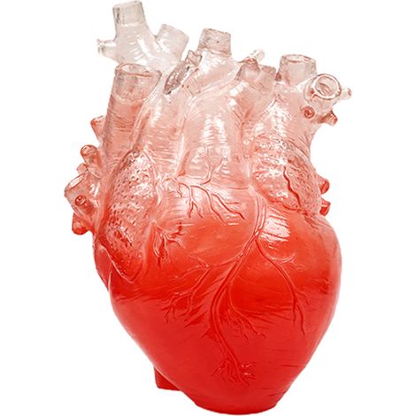 Jarrón con forma de corazón anatómico – Hecho a mano con resina de alta calidad – Transparente / Azul / Morado / Rojo – Disponible en tres tamaños – Ideal para la oficina o el hogar (1/5)