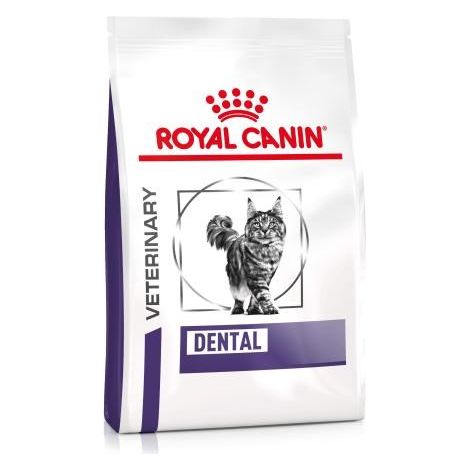 ROYAL CANIN DENTAL KNITTER FÜR KATZEN 1,5 KG ADULT MA S, GEFLÜGEL, REIS (3182550722308)