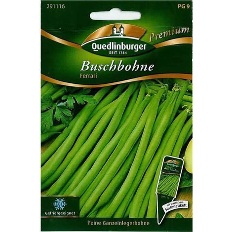Quedlinburger Buschbohne Ferrari - Gemüsesamen (1/2)
