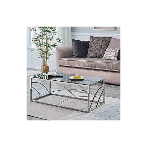 AINPECCA Stainless Steel Rectangular Glass Coffee Table Tea Table for Living Room- 120CM Modern Sleek Accent Center Table Lounge Table with Black Grey Tempered Glass(Sliver)