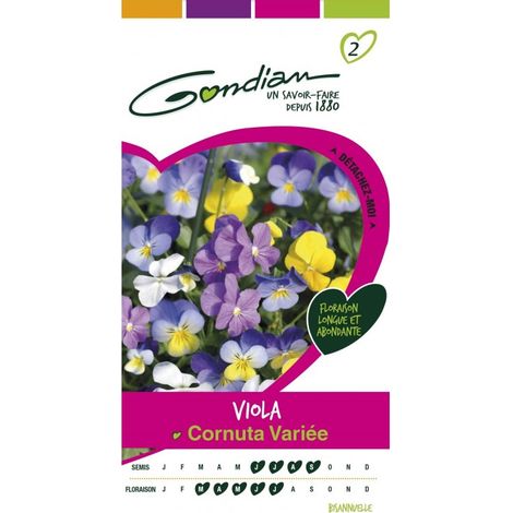 Gondian - Viola Cornuta Variée