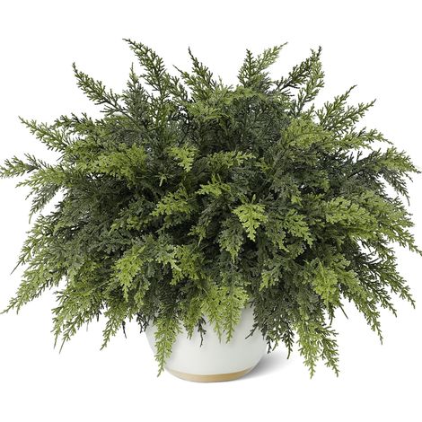 Guirlande De Noël Artificielle - Branches De Norfolk En PE - 3 Pièces - 35 Cm - Pour Intérieur Et Extérieur (1/5)