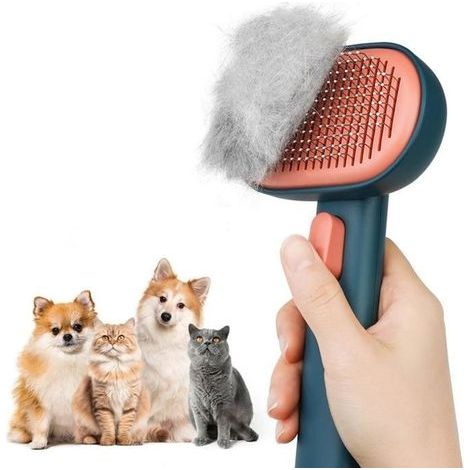 Katzenbürste mit Auslöseknopf, Bürste für Wohnungskatzen, Bürste für Lang- und Kurzhaarkatzen – Grün (1/5)