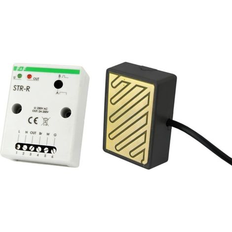 ff STR-R controlador para persianas con sensor de lluvia integrado (1/3)