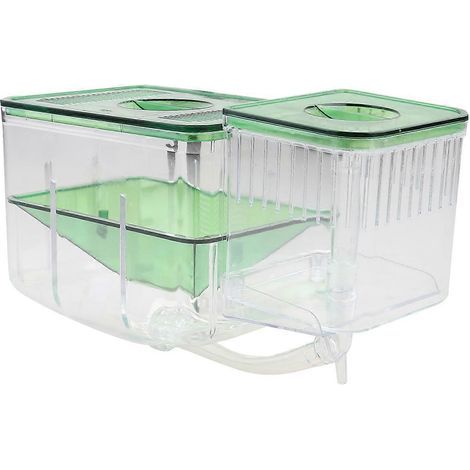 In sich geschlossene Brutbox, Isolierbox, Aquarium, Jungfischaufzuchtbox für Heimaquarien – 13 x 9,5 x 11 cm – Grün (1/4)