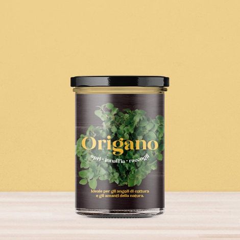 ORTO CUCINA - ORIGANO (1/4)
