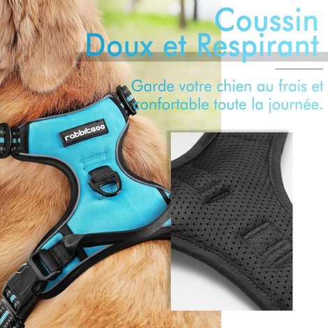 Harnais anti-traction Rabbitgoo S bleu clair, réglable et réfléchissant, attache avant pour petits chiens