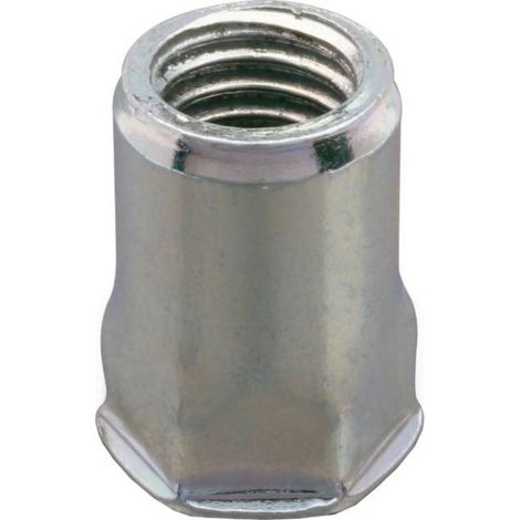 250 Ecrous à Sertir Semi Hexagonaux Tête Ronde GOSERT M6 x 15.5 mm - Acier - D-Work (1/3)