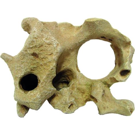 Beige Gallura Rock with Hole M 24,5x18x14cm décoration pour aquariums