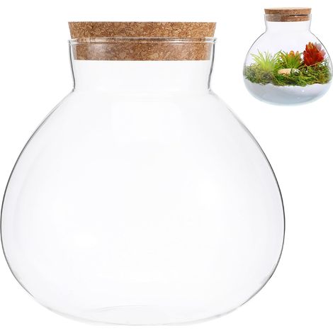 Modernes Ökosystem im Glas mit Glasflasche und Moos