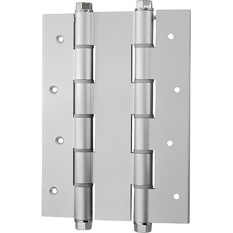 Silbernes, doppeltwirkendes Aluminiumscharnier, 180 mm