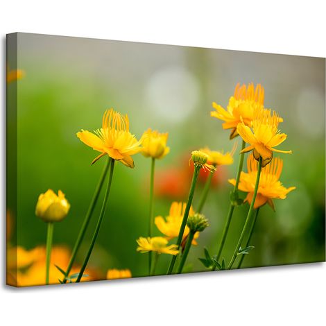 Lienzo impreso con flores amarillas de la colección Botánica, 90x60 cm.